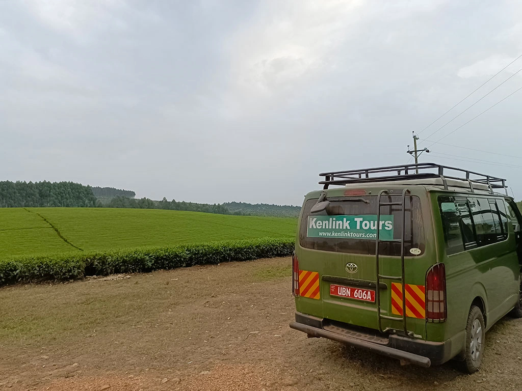 how-many-tour-companies-are-in-uganda