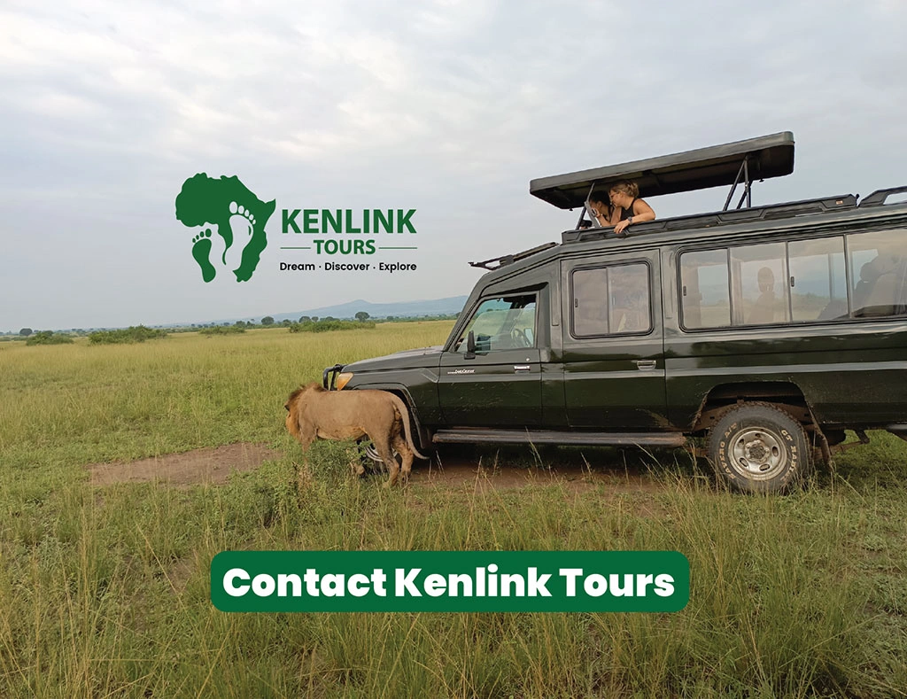 how-many-tour-companies-are-in-uganda