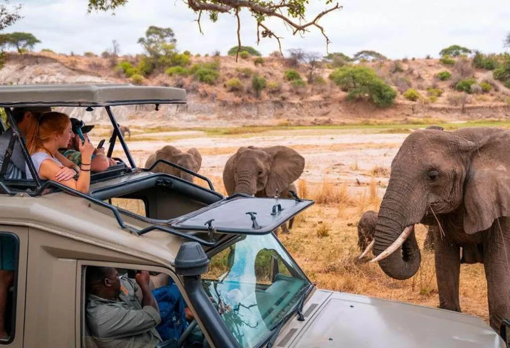 Best Business Courses in Uganda. Business education in Uganda is becoming increasingly important as the country’s economy