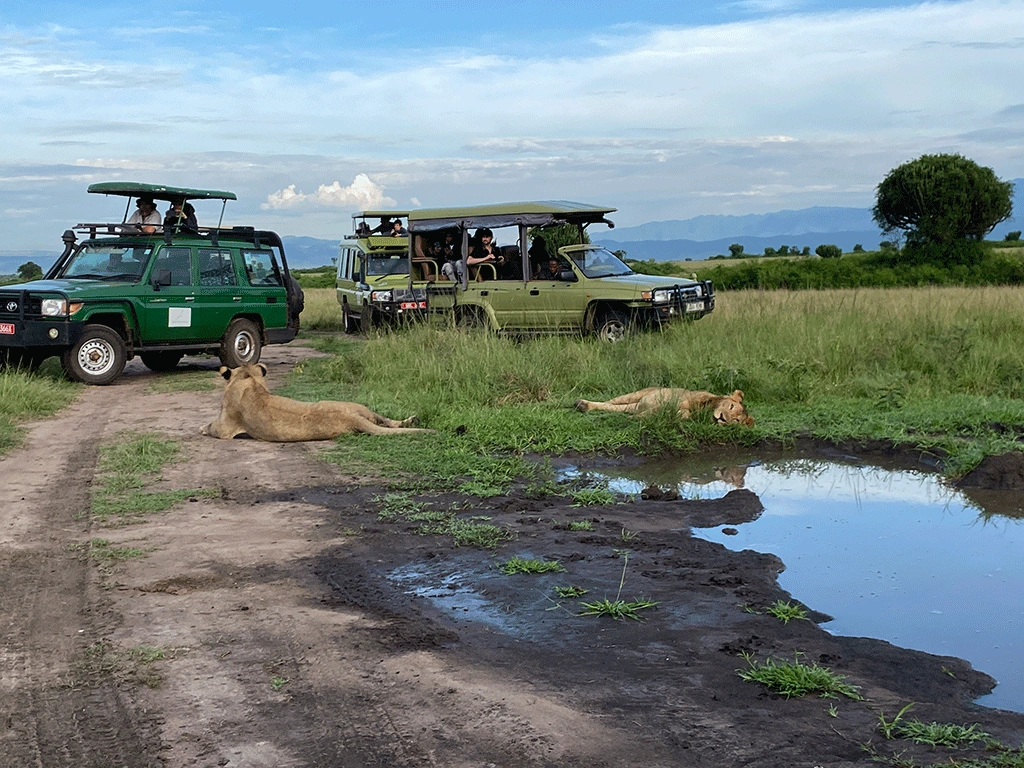 certificate-in-tourism-course-in-uganda