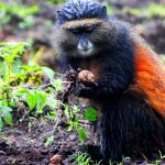 why-tourism-is-a-perfect-choice-for-career