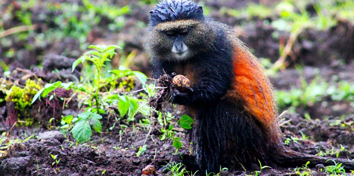 why-tourism-is-a-perfect-choice-for-career