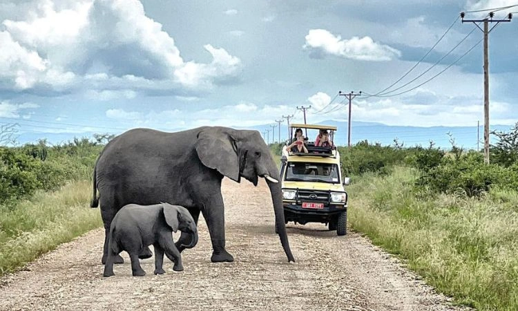 opportunities-in-ugandas-tourism