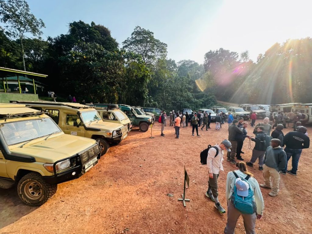 african-institute-of-tourism-and-field-guiding